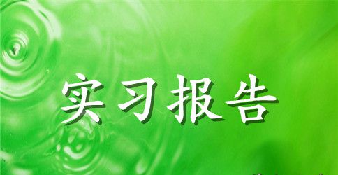 毕业实习报告范文 大学生实习报告