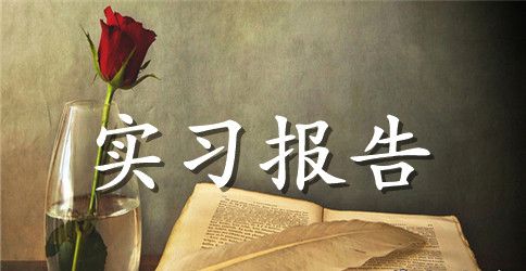 大学生会计电算化实习报告范文