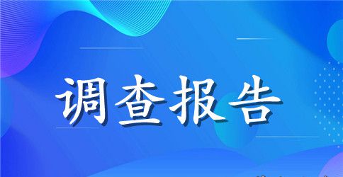 环境污染社会的调查报告总结