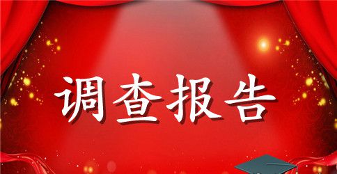 最新教育实习调查报告