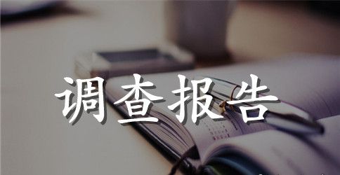 社会调查报告范文3000字