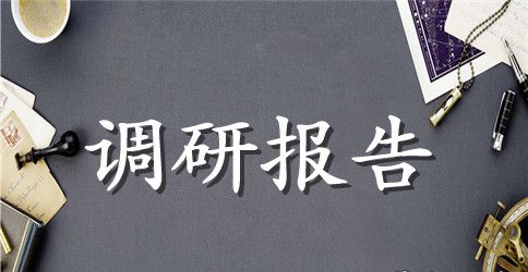 农村实践调研报告