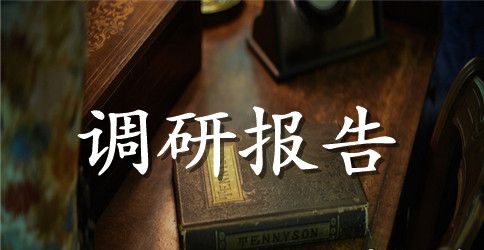 关于化妆品调研报告的范文