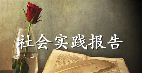 大学生社会实践报告【三篇】