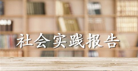 富士康实践报告范文