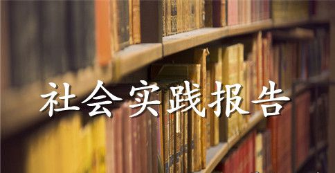 2023高中生暑假社会实践报告范文