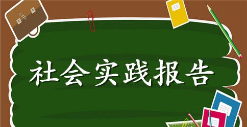 2023年社会实践报告3000字