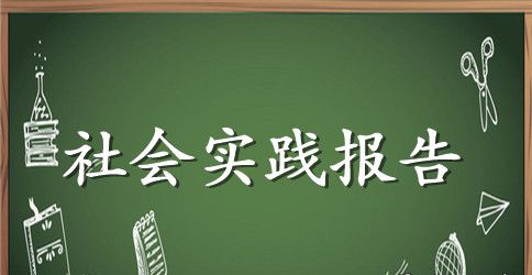 大学生社会实践感悟与总结