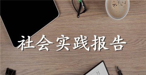 旅游社会实践报告范文