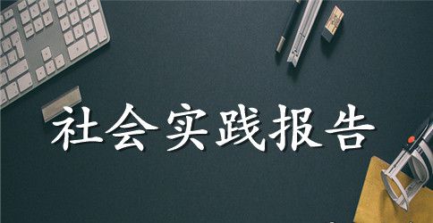 社会实践报告600字