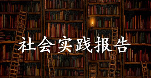 2023年财管暑期社会实践总结3篇