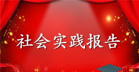 2023年发传单寒假社会实践报告格式