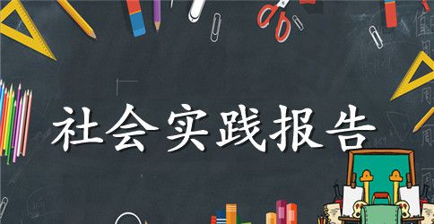 2023最新大学生寒假实践报告