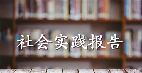 会计学毕业社会实践报告范文