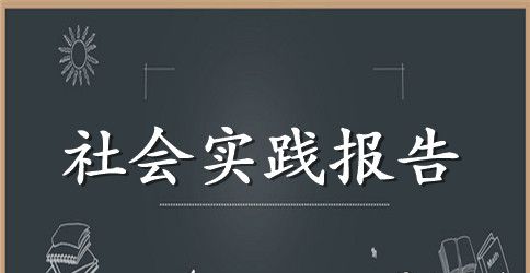 2023年大学生社会实践调查报告：小学教育实践