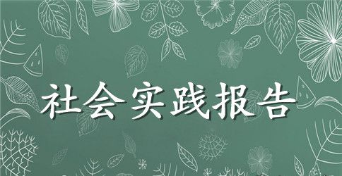 师范毕业生暑假社会实践报告