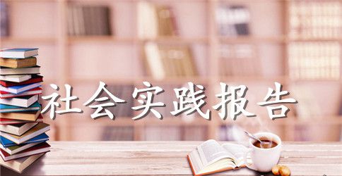 大学生会计社会实践报告4篇