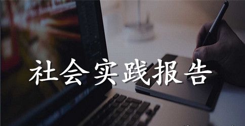 会计专业大学生赴会计电算化单位实践报告范文