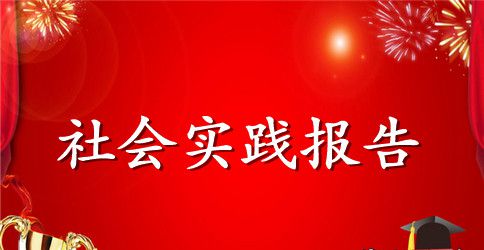 2023年会计专业实习生社会实践报告范文