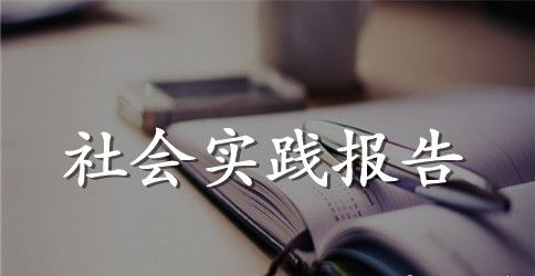 学前教育社会实践报告