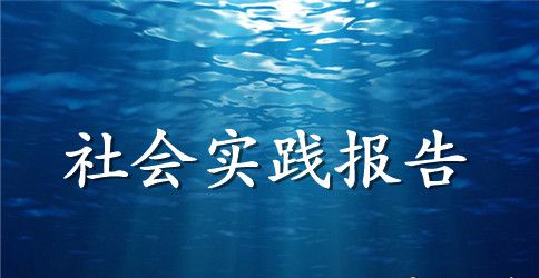 2023年4月社会实践报告