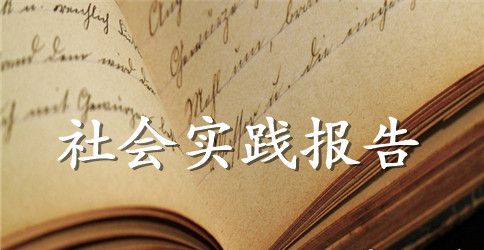 关于大三寒假社会实践报告总结