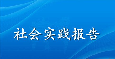 最新寒假的社实践报告