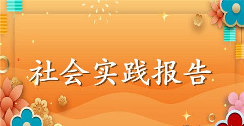 关于2023会计暑假实践报告汇总