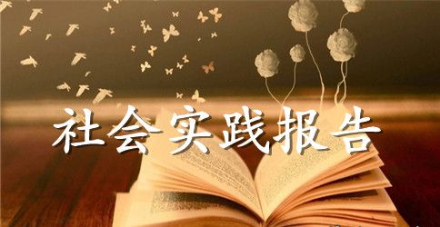 暑假大学生敬老院社会实践报告范文