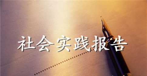 暑期“三下乡”社会实践调查报告格式范文