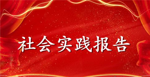 2023年思想政治理论课社会实践报告参考范文