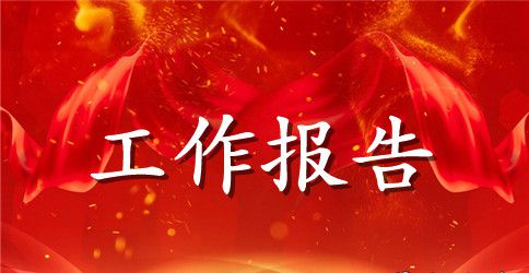 销售总结报告范文5篇