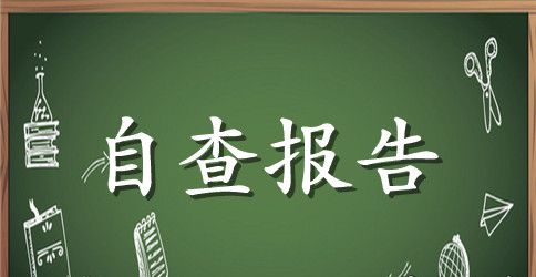 2023年财务工作自查报告