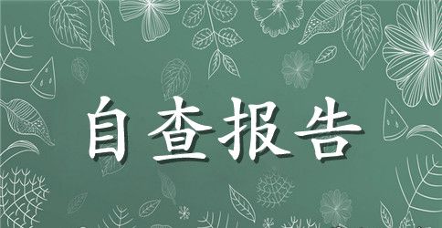 2023年党委落实两个责任自查报告