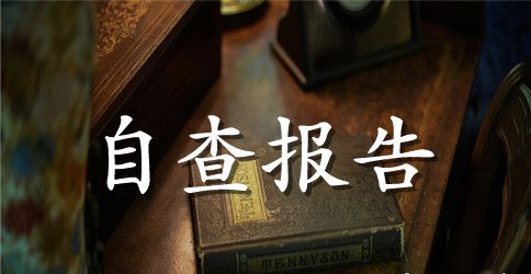 学习四讲四有自查总结报告