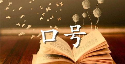 16班军训响亮口号