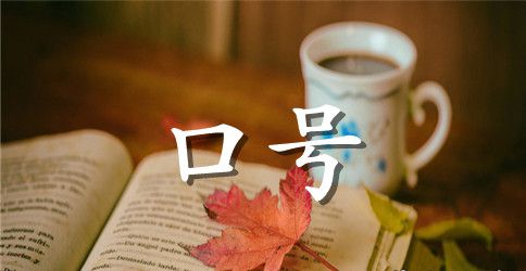 小学教育教学宣传标语口号