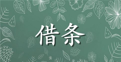 有担保人的借条范文