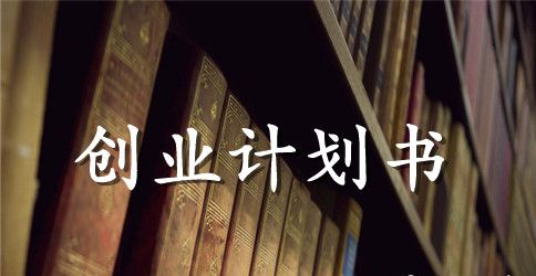 sns创业计划书